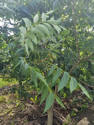 김용대님의 자유주제 · 자유게시판 작성글 사진