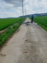 팜모닝 자유주제·자유게시판 게시글 이미지