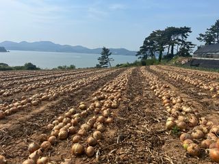 씨앗드림님의 자유주제 · 자유게시판 작성글 사진