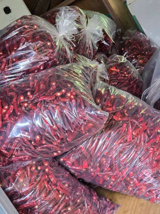 고추농사 정 미라님의 자유주제 · 자유게시판 작성글 사진