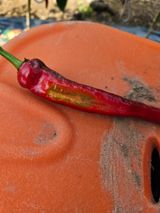 팜모닝 자유주제·자유게시판 게시글 이미지