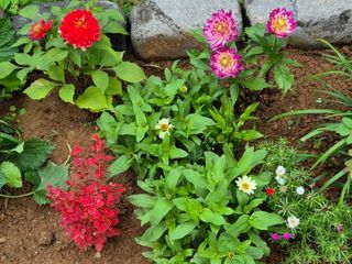 안길원님의 자유주제 · 자유게시판 작성글 사진