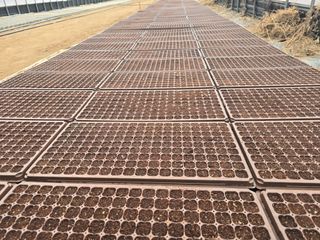 장관덕님의 자유주제 · 자유게시판 작성글 사진