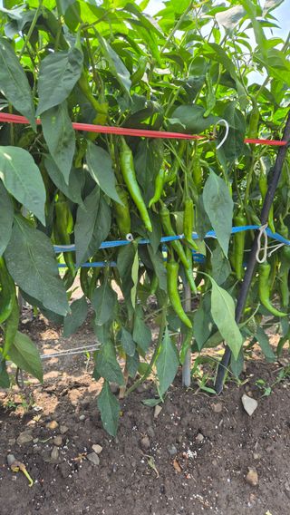 윤재원님의 자유주제 · 자유게시판 작성글 사진