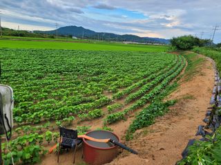 희찬(김동필)님의 자유주제 · 자유게시판 작성글 사진
