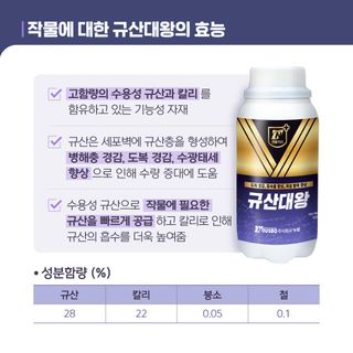 누보농장님의 자유주제 · 자유게시판 작성글 사진