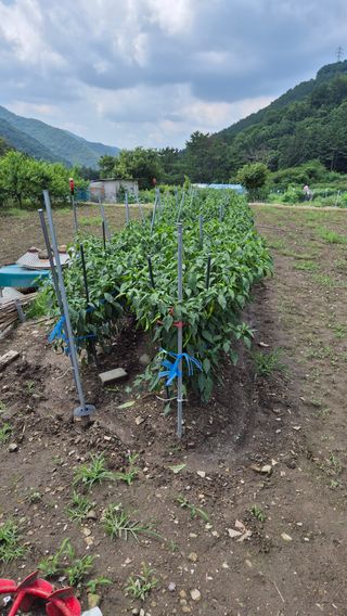 윤재원님의 자유주제 · 자유게시판 작성글 사진