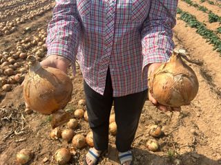 씨앗드림님의 자유주제 · 자유게시판 작성글 사진