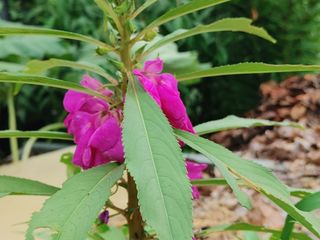 안길원님의 자유주제 · 자유게시판 작성글 사진