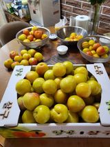 팜모닝 자유주제·사진전 게시글 이미지