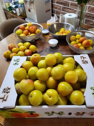 정정숙님의 자유주제 · 사진전 작성글 사진