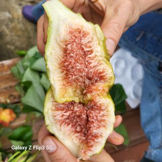 칠곡가산 최지훈님의 자유주제 · 자유게시판 작성글 사진