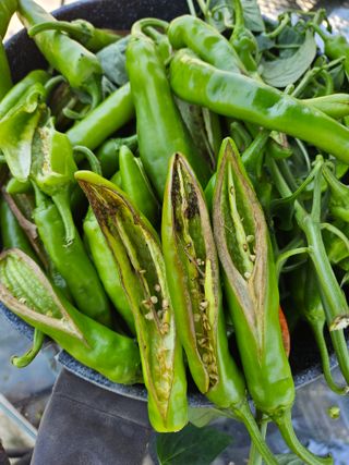 베리딱좋아님의 자유주제 · 자유게시판 작성글 사진