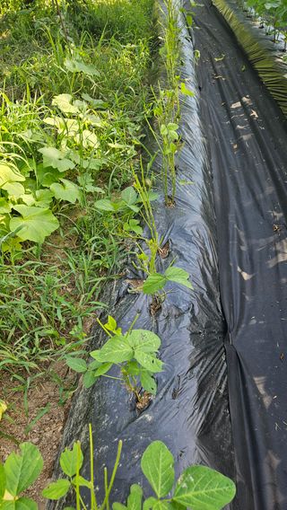 영경래8385님의 자유주제 · 자유게시판 작성글 사진