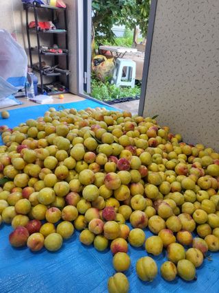 정정숙님의 자유주제 · 사진전 작성글 사진