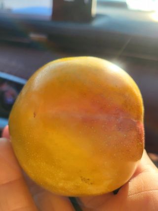 정정숙님의 자유주제 · 사진전 작성글 사진