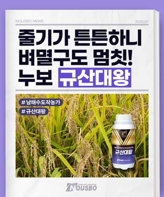 누보농장님의 자유주제 · 자유게시판 작성글 사진