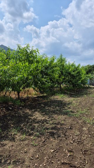 윤재원님의 자유주제 · 자유게시판 작성글 사진