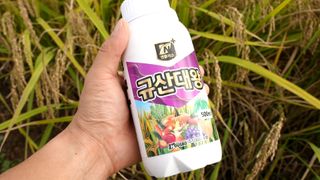 누보농장님의 자유주제 · 자유게시판 작성글 사진