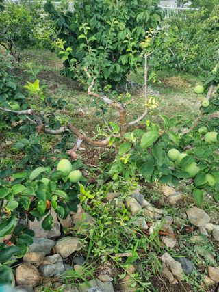 김용대님의 자유주제 · 자유게시판 작성글 사진