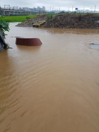 오영배님의 🌦 폭우 피해, 농민 분들 괜찮으신가요? 서로 위로의 말 나눠요 🤝 · 참여글 작성글 사진