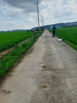 재연농장님의 자유주제 · 자유게시판 작성글 사진