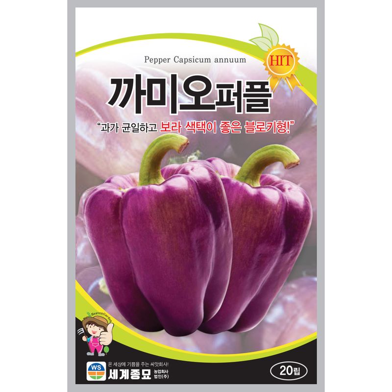주주씨앗님의 장터 판매 상품 [[세계] 까미오레드 파프리카 20립 / 빨간 파프리카 씨앗] 첨부 사진