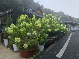 정광일님의 자유주제 · 자유게시판 작성글 사진