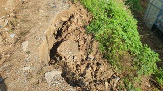 김효중님의 🌦 폭우 피해, 농민 분들 괜찮으신가요? 서로 위로의 말 나눠요 🤝 · 참여글 작성글 사진