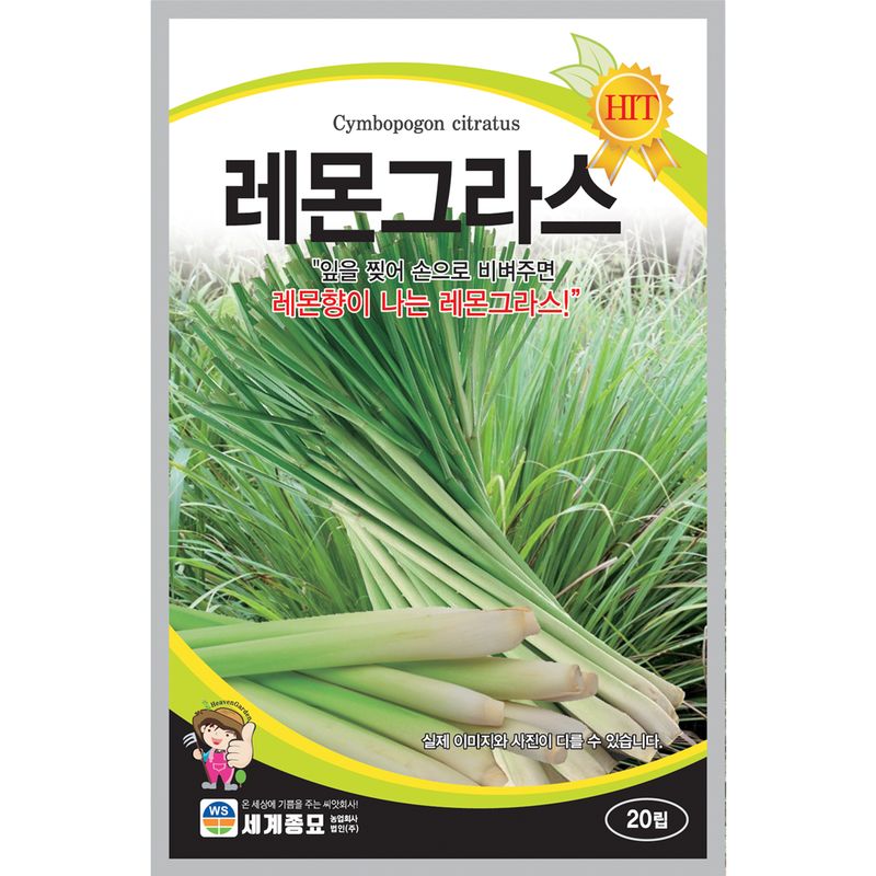 장터 상품 [[세계] 레몬그라스 20립 / 허브 레몬그라스 씨앗] 썸네일