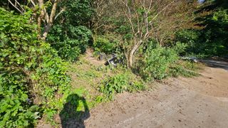 박정식님의 🌦 폭우 피해, 농민 분들 괜찮으신가요? 서로 위로의 말 나눠요 🤝 · 참여글 작성글 사진