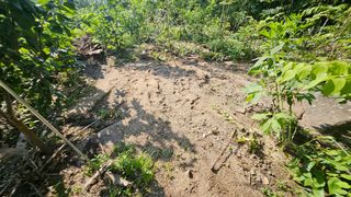 박정식님의 🌦 폭우 피해, 농민 분들 괜찮으신가요? 서로 위로의 말 나눠요 🤝 · 참여글 작성글 사진