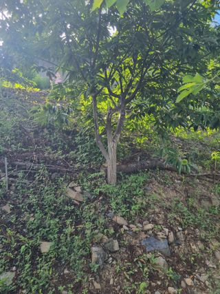 김용대님의 자유주제 · 자유게시판 작성글 사진