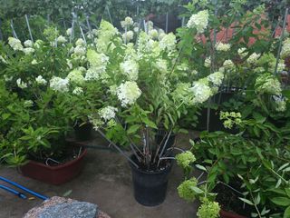 정광일님의 자유주제 · 자유게시판 작성글 사진