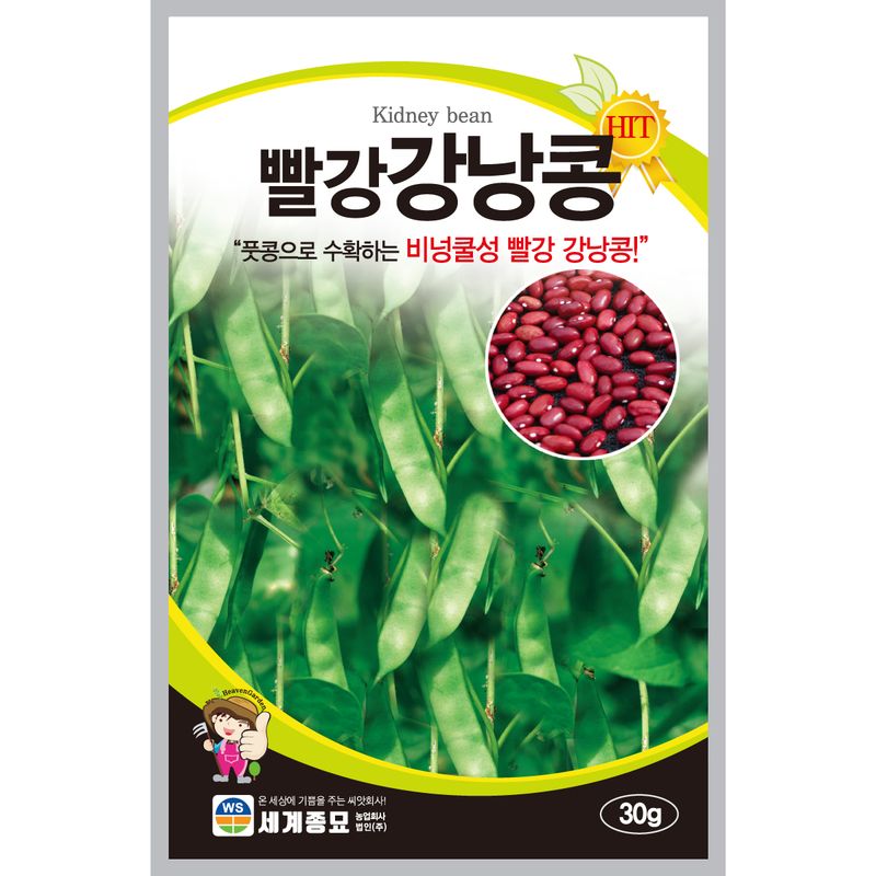 주주씨앗님의 장터 판매 상품 [[세계] 얼룩강낭콩 30g / 비넝쿨성 강낭콩 씨앗 ] 첨부 사진