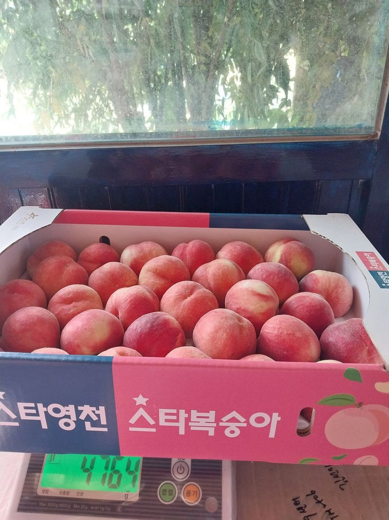 이상목님의 장터 판매 상품 [경봉복숭아(딱딱이)4kg] 첨부 사진