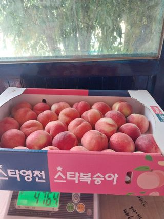 이상목님의 작성글 사진