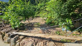 박정식님의 🌦 폭우 피해, 농민 분들 괜찮으신가요? 서로 위로의 말 나눠요 🤝 · 참여글 작성글 사진