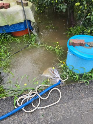 최동구님의 🌦 폭우 피해, 농민 분들 괜찮으신가요? 서로 위로의 말 나눠요 🤝 · 참여글 작성글 사진