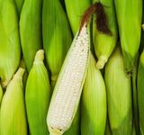 팜모닝 · 게시글 이미지