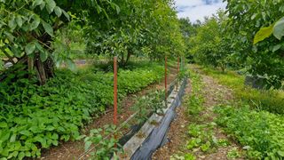 정석구님의 자유주제 · 자유게시판 작성글 사진