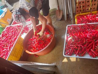 영수농원님의 자유주제 · 자유게시판 작성글 사진