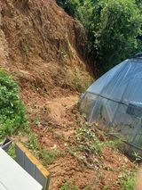 팜모닝 🌦 폭우 피해, 농민 분들 괜찮으신가요? 서로 위로의 말 나눠요 🤝·참여글 게시글 이미지