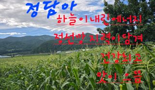 장관덕님의 자유주제 · 자유게시판 작성글 사진