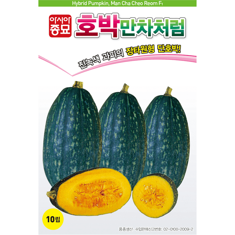 장터 상품 [[아시아] 만차처럼 장타원형 단호박 10립 / F1 교배종 / 단호박 씨앗] 썸네일
