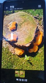 팜모닝 자유주제·자유게시판 게시글 이미지