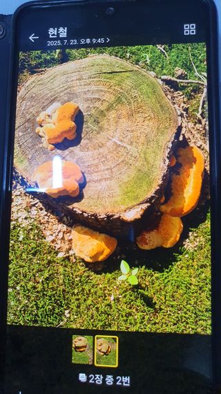 김효중님의 자유주제 · 자유게시판 작성글 사진