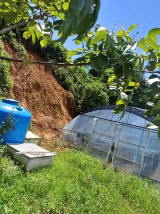 권혁태 님의 🌦 폭우 피해, 농민 분들 괜찮으신가요? 서로 위로의 말 나눠요 🤝 · 참여글 작성글 사진