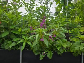 정광일님의 자유주제 · 자유게시판 작성글 사진