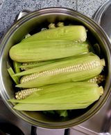 팜모닝 · 게시글 이미지